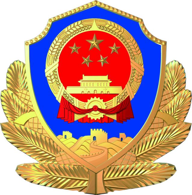 刑事侦查情报系统